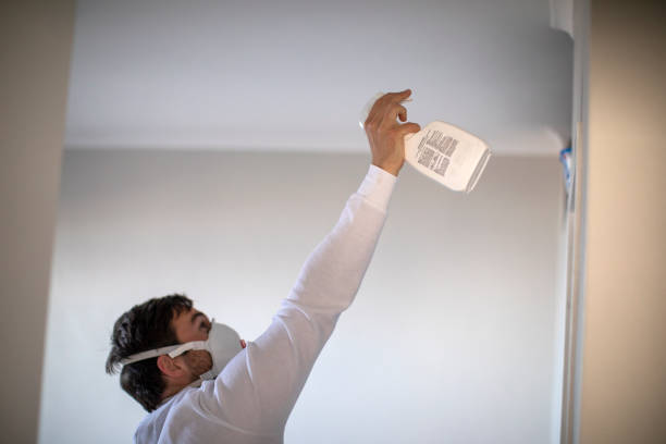 Best Kitchen Mold Remediation in Cumberland Head, NY